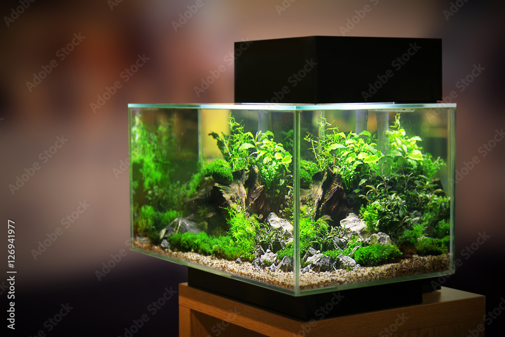 Aquariumk  MAC 180 SFX mit LED-Beleuchtung Kopie